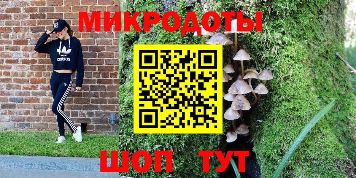 Галлюциногенные грибы прущие грибы Москва